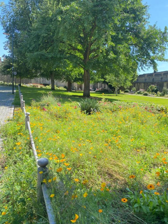 Haeuschen Am Plenzer Villa Ingelheim am Rhein Buitenkant foto