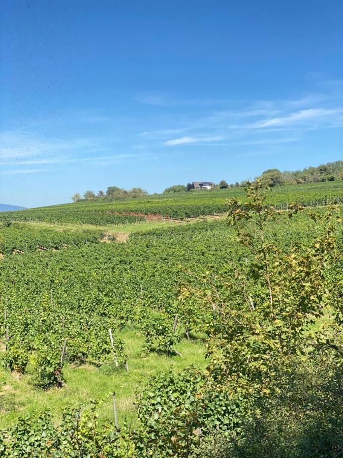 Haeuschen Am Plenzer Villa Ingelheim am Rhein Buitenkant foto