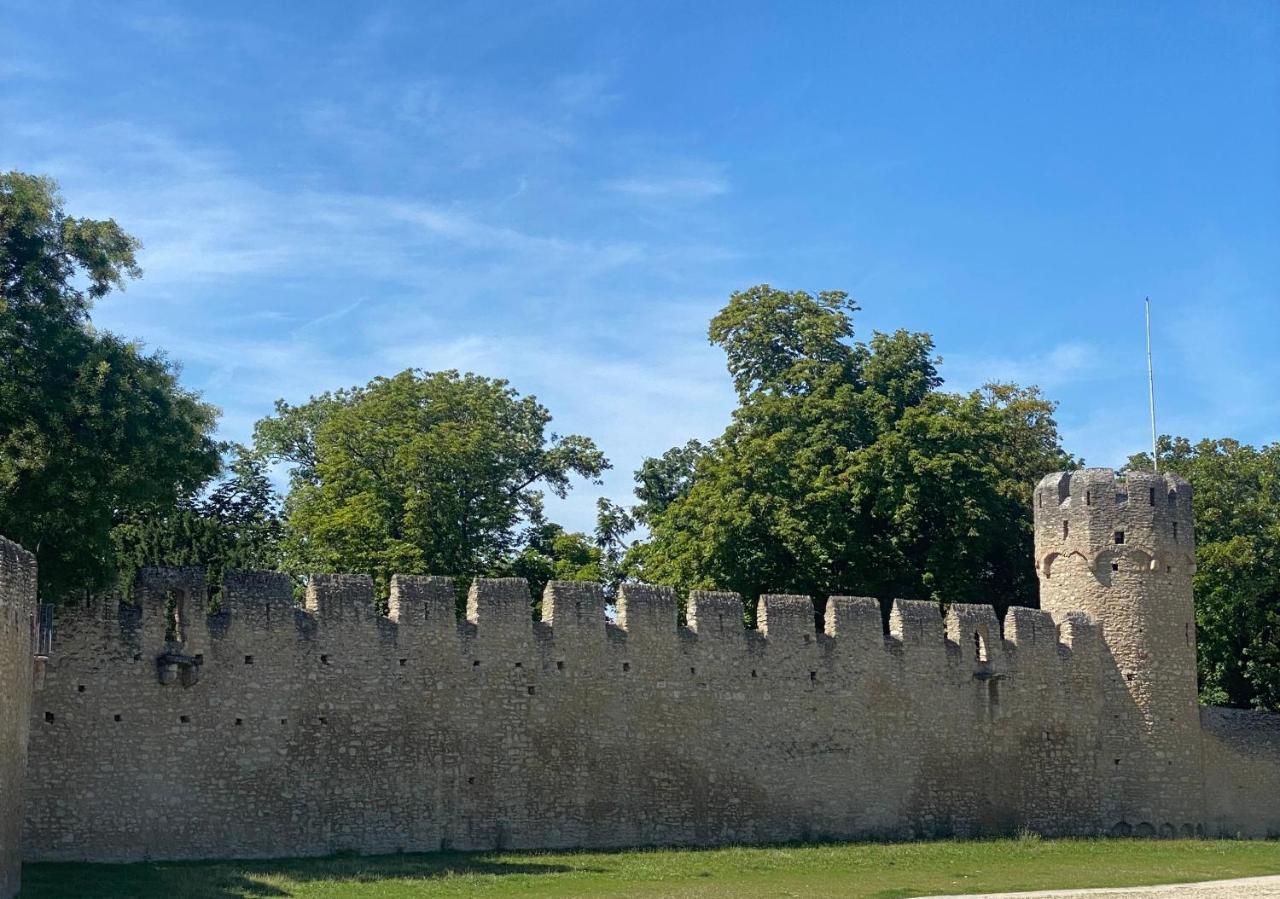 Haeuschen Am Plenzer Villa Ingelheim am Rhein Buitenkant foto