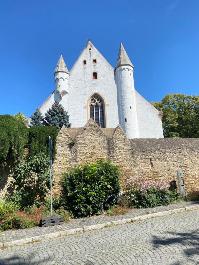 Haeuschen Am Plenzer Villa Ingelheim am Rhein Buitenkant foto