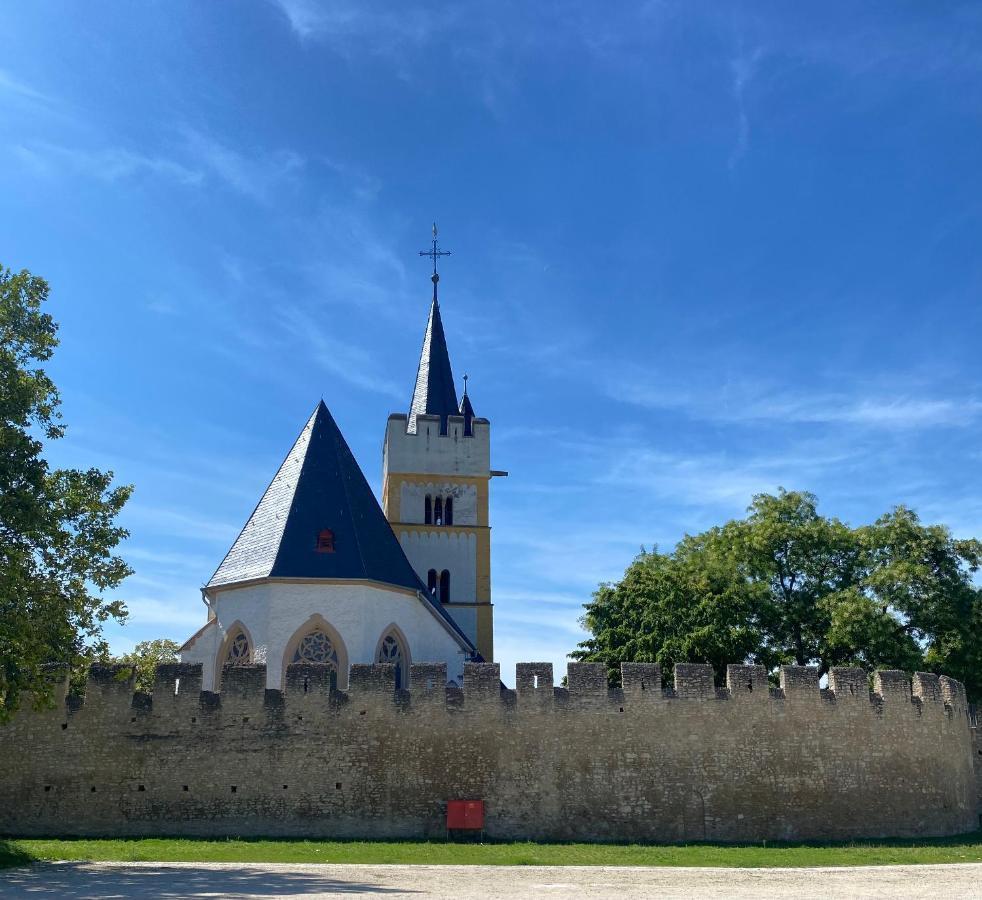 Haeuschen Am Plenzer Villa Ingelheim am Rhein Buitenkant foto