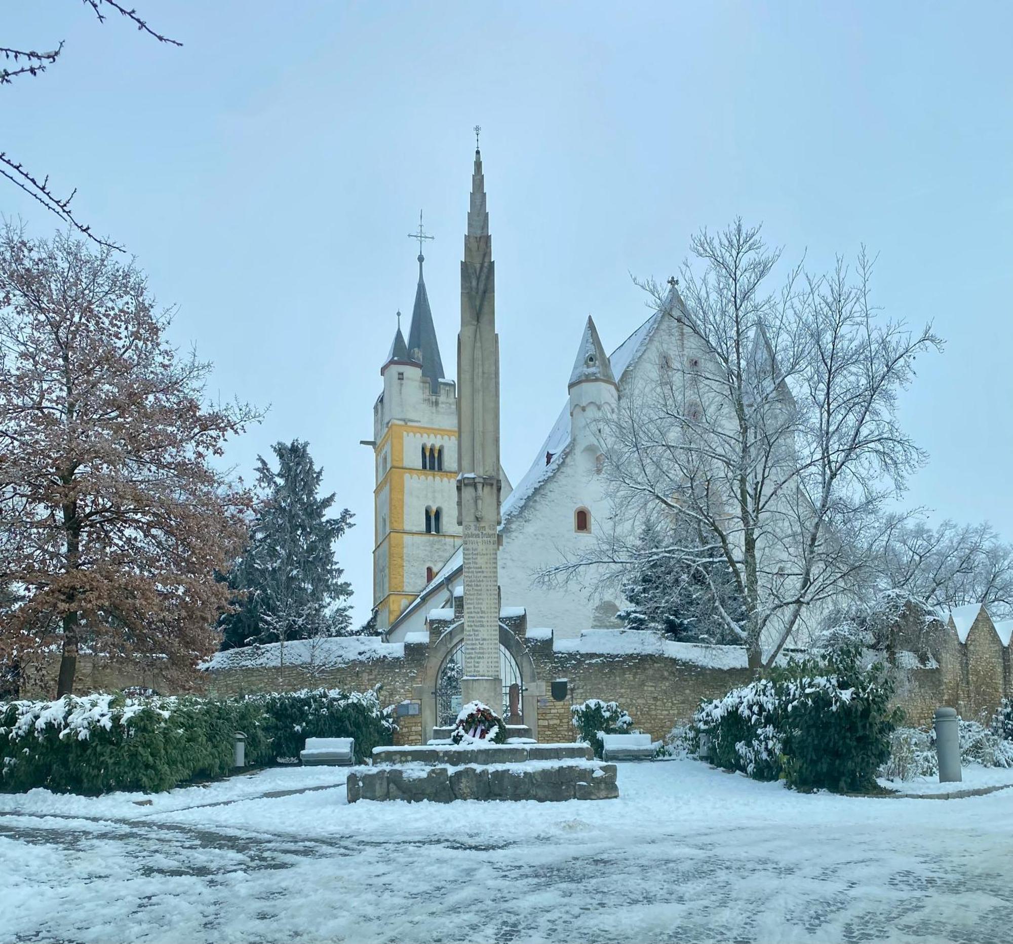 Haeuschen Am Plenzer Villa Ingelheim am Rhein Buitenkant foto