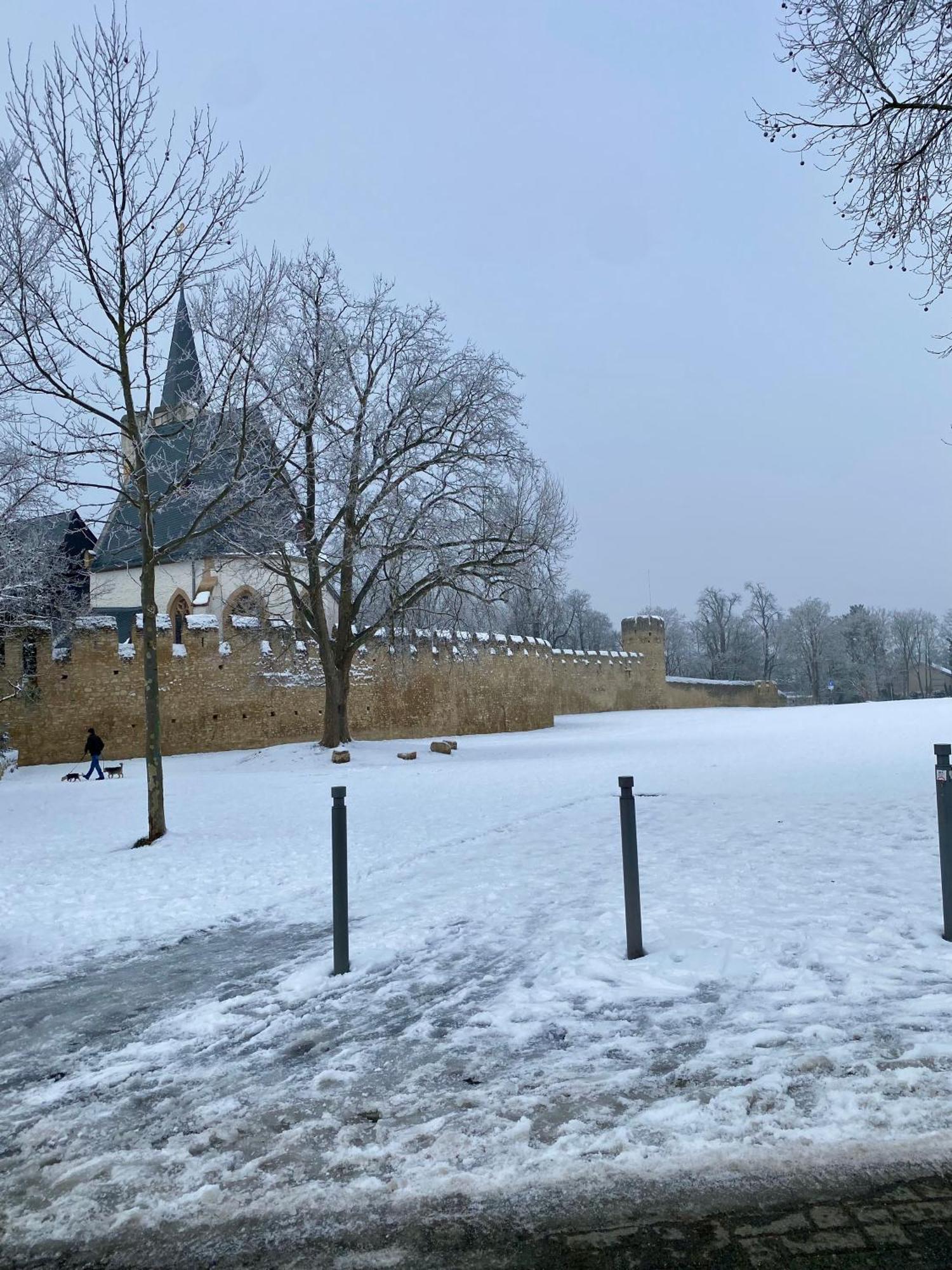 Haeuschen Am Plenzer Villa Ingelheim am Rhein Buitenkant foto