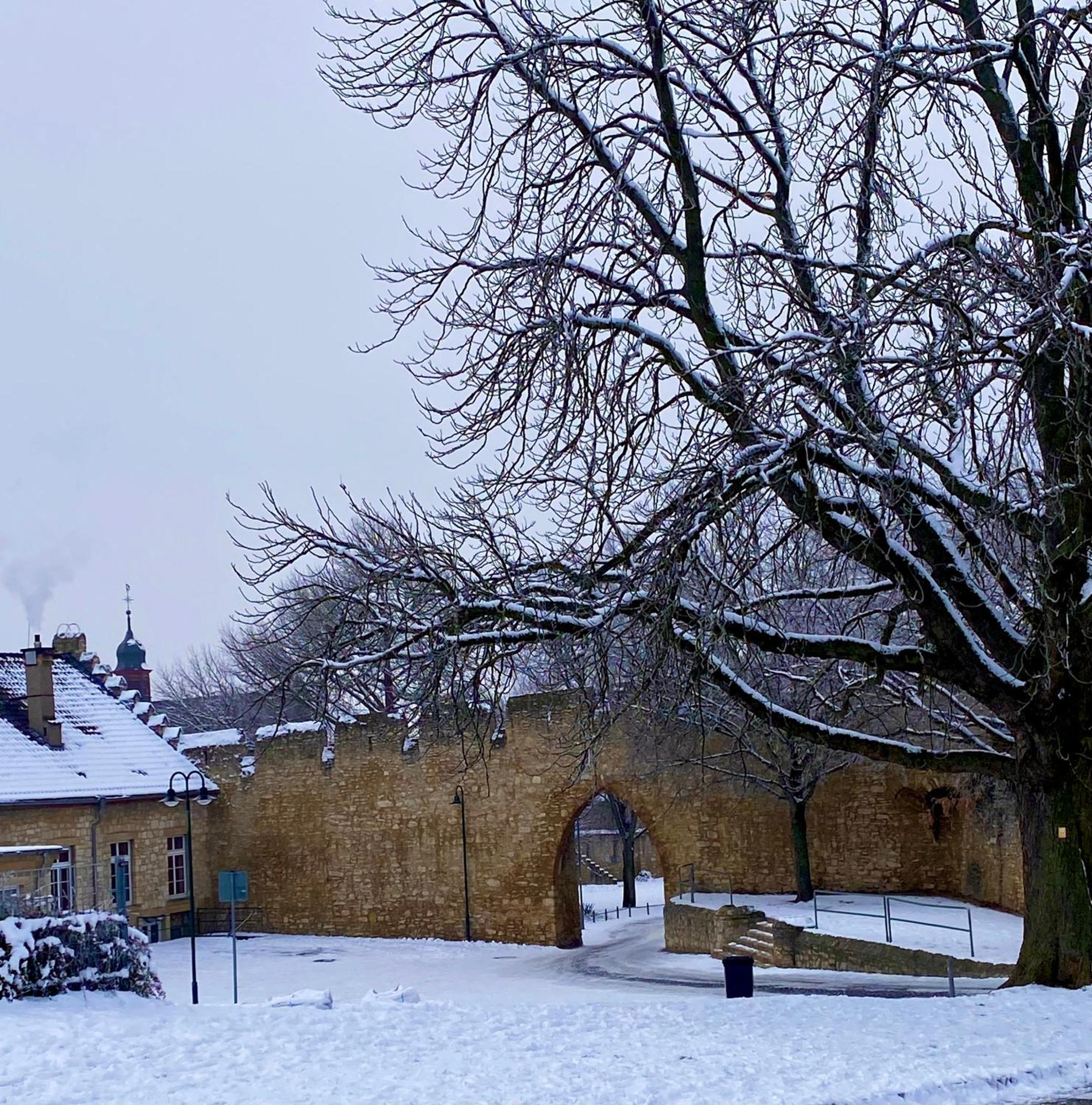 Haeuschen Am Plenzer Villa Ingelheim am Rhein Buitenkant foto